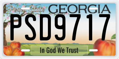 GA license plate PSD9717