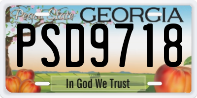 GA license plate PSD9718