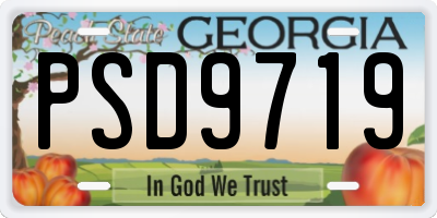 GA license plate PSD9719