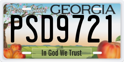 GA license plate PSD9721