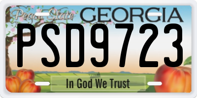 GA license plate PSD9723