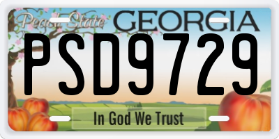 GA license plate PSD9729