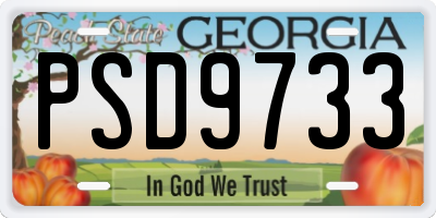 GA license plate PSD9733