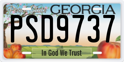GA license plate PSD9737
