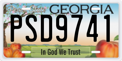 GA license plate PSD9741