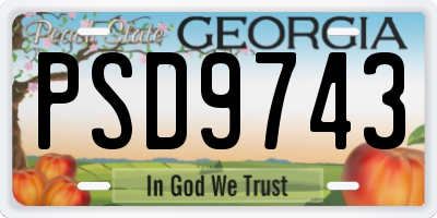 GA license plate PSD9743