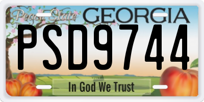 GA license plate PSD9744