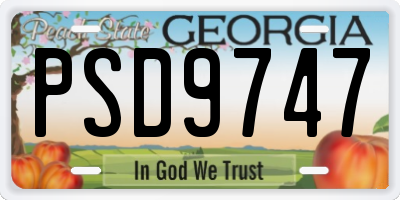 GA license plate PSD9747