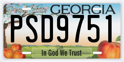 GA license plate PSD9751