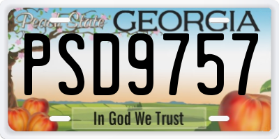 GA license plate PSD9757