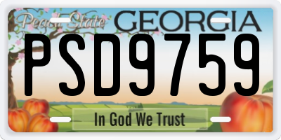 GA license plate PSD9759