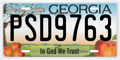 GA license plate PSD9763