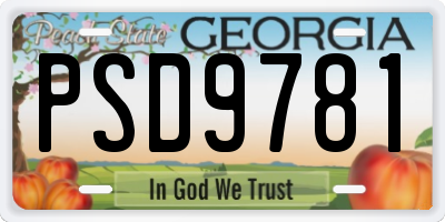 GA license plate PSD9781