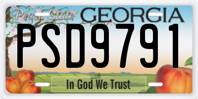 GA license plate PSD9791
