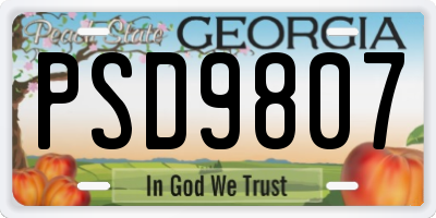 GA license plate PSD9807