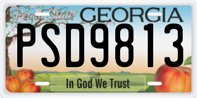 GA license plate PSD9813