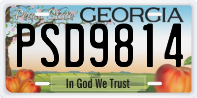 GA license plate PSD9814