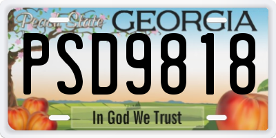 GA license plate PSD9818