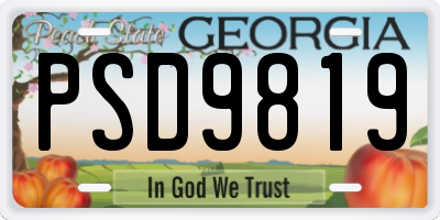 GA license plate PSD9819