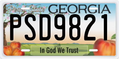 GA license plate PSD9821