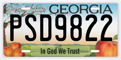 GA license plate PSD9822