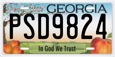 GA license plate PSD9824