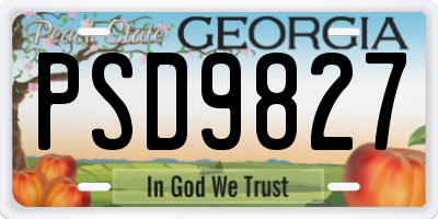 GA license plate PSD9827