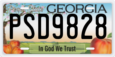 GA license plate PSD9828