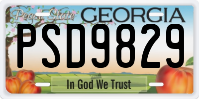 GA license plate PSD9829