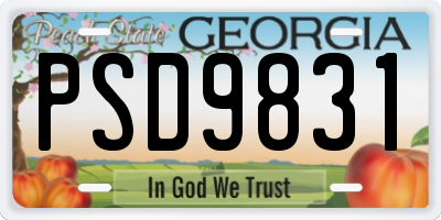 GA license plate PSD9831