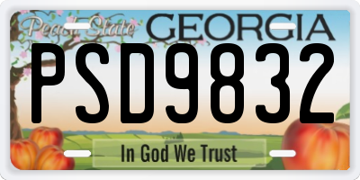 GA license plate PSD9832