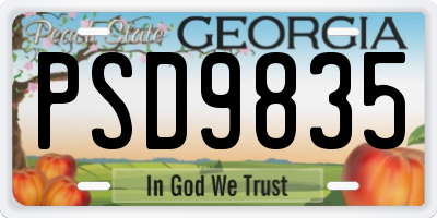 GA license plate PSD9835