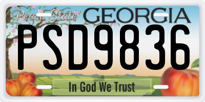 GA license plate PSD9836