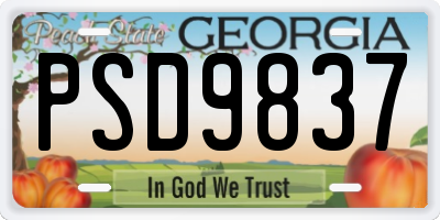 GA license plate PSD9837