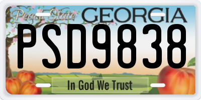 GA license plate PSD9838