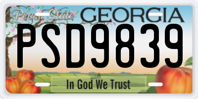GA license plate PSD9839