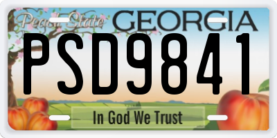 GA license plate PSD9841