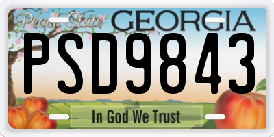 GA license plate PSD9843