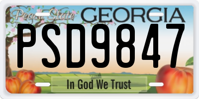 GA license plate PSD9847