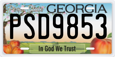 GA license plate PSD9853