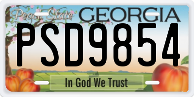 GA license plate PSD9854