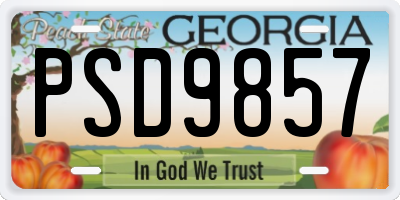 GA license plate PSD9857
