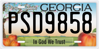 GA license plate PSD9858