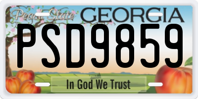 GA license plate PSD9859