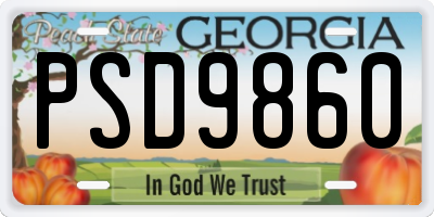 GA license plate PSD9860