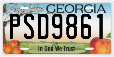 GA license plate PSD9861