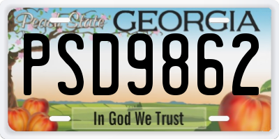 GA license plate PSD9862
