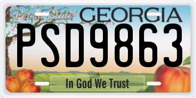 GA license plate PSD9863