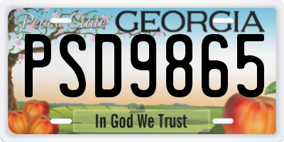 GA license plate PSD9865
