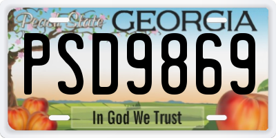 GA license plate PSD9869